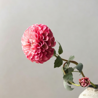 Fleurs artificielles en soie Dahlia à 2 têtes, longues tiges, pour vase de maison, centre de table de mariage