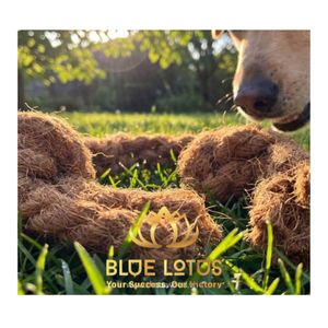 Jouet pour chien et chat en fibre de coco durable, best-seller, naturel, pour la santé dentaire, non toxique, grand format, pour soulager l'anxiété des animaux de compagnie à Noël - Product Image 1