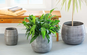 Jardinière en métal en fer de qualité supérieure en laiton finition Antique Pots de fleurs et jardinières décoratifs pour la décoration intérieure de la maison et du jardin - Product Image 6