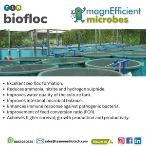 Biofloc-Supplément probiotique pour la prévention des maladies des crevettes élevées - Product Image 4