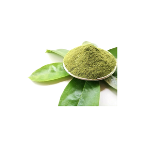 Fournisseur de feuilles de corossol de qualité supérieure pour les importateurs - Product Image 1