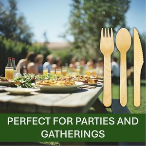 Set di posate in legno monouso 360 pezzi, 100% compostabile, include 120 forchette, 120 cucchiai, 120 coltelli - Product Image 2