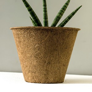 Plant <b>pots</b> for seed germination coco fiber nursery <b>pot</b> planting containers with <b>large</b> & small size - Product Image 1