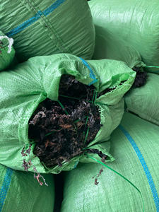 VENTA CALIENTE ARTÍCULO 2024-ALGAS SARGASSUM 100% ALGAS NATURALES DE PROVEEDOR DE VIETNAM CON ALTA CALIDAD/Sra. Lima - Product Image 6