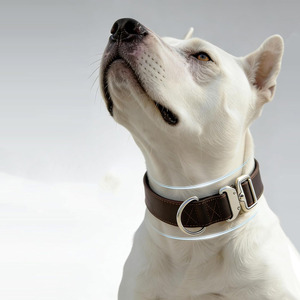 Collares para perros hechos a mano en Pakistán, de cuero trenzado, accesorio ideal para perros activos y actividades al aire libre a bajo precio. - Product Image 3