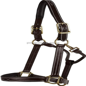 Équitation-dos nu en cuir rembourré, de qualité supérieure, brun, avec couture de contrastée, quincaillerie en laiton rose en or - Product Image 4