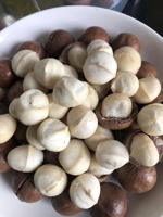 Noix de Macadamia Séchées Blanchies de Haute Qualité, Coque Entière, 22-25mm, Emballage Snack 500g, Pot PET, Prêtes à Consommer, Macca Vietnam
