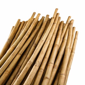 Tiges de bambou vertes de haute qualité du Vietnam et bambou fumigé séché pour la décoration de Construction - Product Image 5