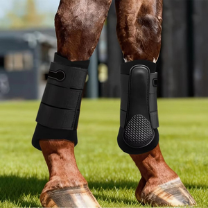 Bottes de protection pour chevaux : Soutien des articulations, protection des tendons et des articulations du fessier - Product Image 6
