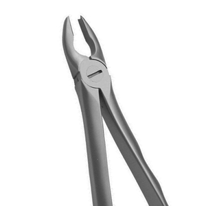 ARISTON INTERNATIONAL Pinzas de Extracción Dental de Acero Inoxidable con Empuñadura Ergonómica, Certificación CE, Uso Profesional a Bajo Precio - Product Image 2