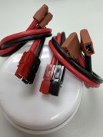 Câble de raccordement en cuivre plat 2 fils, calibre 12, gaine PVC, SP30A, rouge et noir, 3,0 mm, 50-100°C, pour connecteur de câble d'alimentation CC, 300V, basse tension