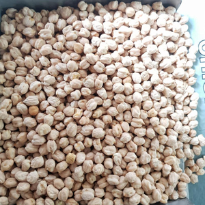 Garbanzos Kabuli Orgánicos Certificados por la UE de Alta Calidad, 9 mm, Certificados Kosher, Empacados a Granel, Secos, Listos para Consumo en 1 Año, CREKS 25 kg 3 - Product Image 2