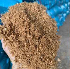 บล็อกใยมะพร้าวออร์แกนิคธรรมชาติ 100% คุณภาพพรีเมียม สำหรับปลูกพืชและเพาะเมล็ด 5 กก. บล็อกคุณภาพเยี่ยม ราคาสุดคุ้ม ขายส่ง ใหม่ - Product Image 6