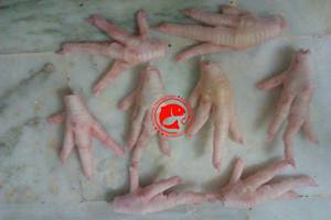 ตีนไก่แช่แข็งทั้งตัว ทำความสะอาดแล้ว คุณภาพพรีเมียม โครงสร้างแข็งแรง พื้นผิวเรียบเนียน เนื้อไก่ธรรมชาติ รสชาติสม่ำเสมอ ขนาดมาตรฐาน - Product Image 4