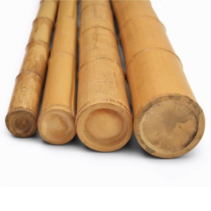 Natural Bamboo <b>Pole</b> Made in Vietnam Bamboo <b>Poles</b> Plant Raw Material <b>for</b> <b>Gardening</b> and Farming - Product Image 3