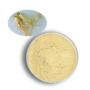 Extrait de ginseng Panax haute puissance 10:1 en poudre, ginseng Panax cultivé naturellement pour soutenir l'énergie, la concentration et le bien-être - Product Image 1