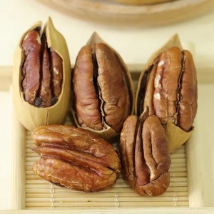 Noix de pécan entières fraîches biologiques de qualité supérieure 100% naturelles en vrac à prix compétitif - Product Image 3