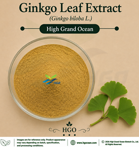 HGO Factory Direct Supply Ginkgo Leaf Extract (Ginkgo biloba L.) (Health food Grade) Ratio Extract 4:1 5:1 10:1 20:1 100:1 200:1 - Product Image 1