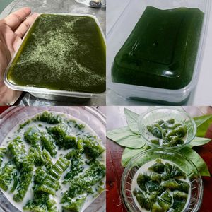 [MEJOR VENDIDO] |   Polvo de gelatina de hierba verde para preparar postres instantáneos, aditivo para té con leche, bebida, directo de Vietnam - Product Image 6