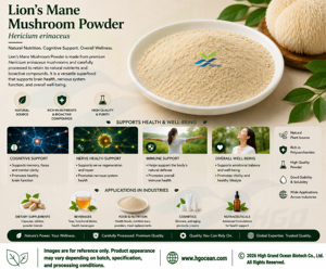 Approvisionnement direct d'usine HGO de poudre de champignon de crinière de lion naturelle pure (qualité alimentaire) poudre fongique (poudre de fruits ou de légumes) - Product Image 3