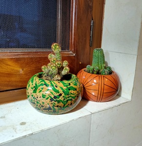 Maceta de madera tallada a mano con patrón circular, estilo rústico, para plantas de interior, para cactus, suculentas, decoración de escritorio - Product Image 5