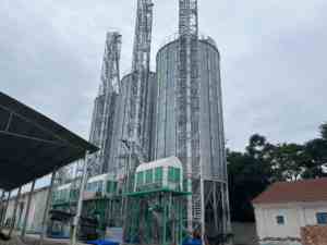 Silos à céréales en acier galvanisé ondulé, prix des silos à céréales de 100 tonnes, 300 tonnes, 500 tonnes, 1000 tonnes - Product Image 4