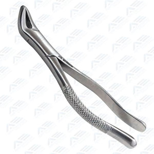Surgical Extraction Forceps Factory Direct Prices Surgical Instruments Custom Logo Dental Root Extracting Elevators - Product Image 5