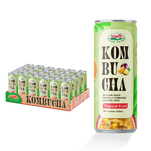 Kombucha aux fruits tropicaux effervescent, thé pétillant OEM, marque privée, vente en gros, canettes et bouteilles rafraîchissantes, approvisionnement B2B, nouvelle saveur, en carton - Product Image 2