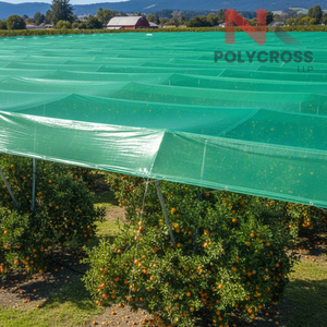 Bâche de protection UV haute densité pour verger, grande bâche extérieure pour la protection des récoltes de fruits et les besoins agricoles - Product Image 4