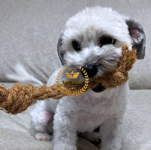 Fabricant vietnamien de corde de coco naturelle en forme d'os, jouet à mâcher pour chien en boule de coco, produit fait à la main - Product Image 4