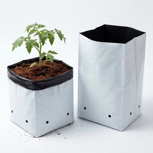 Low Cost High Quality Disposable Biodegradable Plastic Strawberry Grow <b>Bags</b> for Hydroponic Greenhouse Agriculture Seedling - Product Image 4