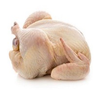 Poulet entier halal congelé de qualité supérieure, poulet entier halal congelé brésilien de qualité supérieure, poulet entier congelé de qualité supérieure pour la vente en gros