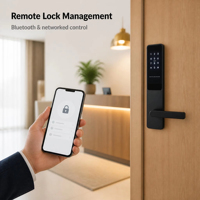 Serrure de porte intelligente SL-BR-001 pour RFID avec contrôle d'accès à distance pour portes en acier/bois, stockage cloud, OEM ODM