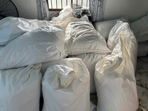 FLEUR DE POIS DE PAPILLON SÉCHÉE EN GROS | THÉ BLEU DU VIETNAM DE HAUTE QUALITÉ POUR LA SANTÉ ET LE BIEN-ÊTRE - Product Image 6