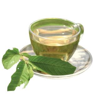 Meilleur Prix Feuilles de Goyavier Séchées Pures (Psidium Guajava) Matière Première Sac Sous Vide 1kg Origine Vietnam Export Vente en Gros Grossiste - Product Image 1