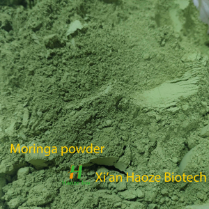 Polvo de Hoja de Moringa Seca a Granel, Suplementos para la Salud y Pérdida de Peso, Recién Pulverizada, Certificada por FSSAI, Precio Bajo de Mercado - Product Image 6