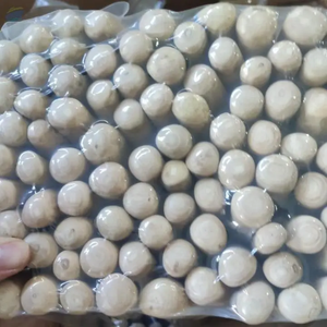 BEST SELLER Safe Dog Coffee Wood Chew Stick Tough Pet Wooden Toy Natural <b>Tree</b> <b>Branch</b> For Aggressive Chews Teeth Cleaning Care - Product Image 4