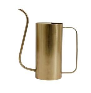 Minimalist Plants Water Can Home Gardening Silver Finished Watering Can Flowers & Garden Metal Watering Can - Product Image 5