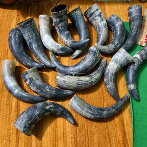 Premium Natural Viking Drinking Horn Unpolished Handmade Authentic Horn Mug At Best Price - Product Image 2