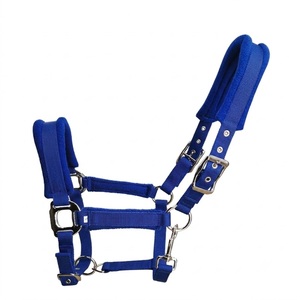 Belle sangle EKAY de 20 mm de large avec attache en alliage de zinc nickelé et coussin en éponge LT1006, laisse en corde écologique - Product Image 2