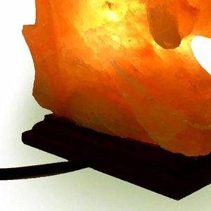 <b>Himalayan</b> Pink <b>Salt</b> <b>Lamp</b> Carved Animal Shape Handcrafted Eco-Friendly Night Light Pakistan Crystal <b>Rock</b> Table <b>Lamp</b> for Home - Product Image 3