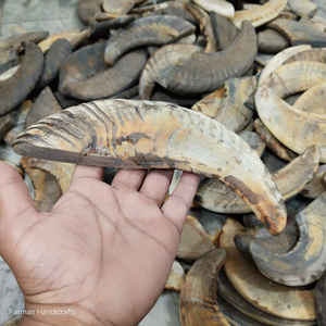 Punta de cuerno de carnero natural para mangos de cuchillos personalizados, suministro artesanal duradero a precio económico - Product Image 3