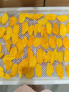 Dried mango chewy tropical fruit <b>bars</b> wholesale from Vietnam perfect for retail chains and food importers - Product Image 1