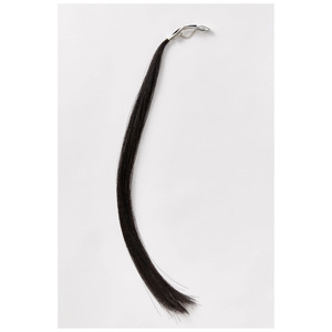 Directo de Bélgica, Pelo Natural Negro de Vaca y Búfalo de Alta Calidad para Fabricación de Cepillos, al Mejor Precio, Fuente de Pelo de Caballo - Product Image 5