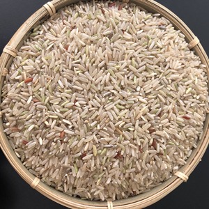 ข้าวกล้องพรีเมียมธรรมชาติ เมล็ดยาว ข้าวธัญพืชเพื่อสุขภาพ ไฟเบอร์สูง ปลอดจีเอ็มโอ จำหน่ายส่ง ปริมาณมาก สำหรับขายส่งและส่งออก |   วิลาโคนิค - Product Image 4