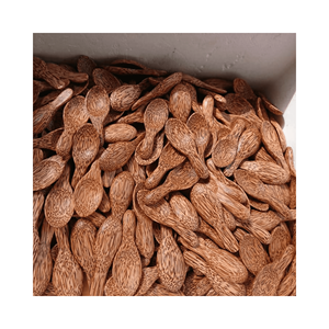 100% CUILLÈRE À NOIX DE COCO NATURELLE DU VIETNAM/CUILLÈRE EN BOIS DE NOIX DE COCO/CUILLÈRE À NOIX DE COCO NATURELLE DE HAUTE QUALITÉ MEILLEURE VENTE CUILLÈRE À NOIX DE COCO NATURELLE ÉCOLOGIQUE - Product Image 3
