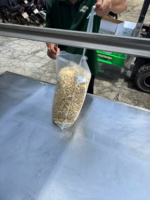 Vietnamese Cashewnoten Hoge Kwaliteit W320, W240, LP voor Export Groothandel