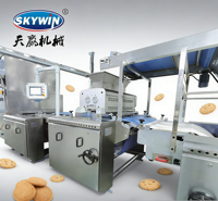 Machine automatique à biscuits à une couleur Machine de dépôt de biscuits Ligne de production de biscuits