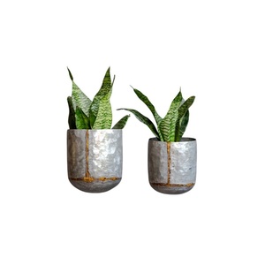 Ensemble de jardinières murales rondes en métal élégantes pour plantes d'intérieur, pot de fleurs suspendu géométrique blanc en forme de demi-lune pour balcon et décoration intérieure - Product Image 3