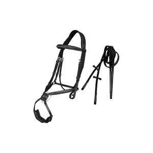 Brida de Cuero Premium para Caballo con Riendas para Equitación - Product Image 1